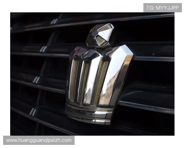 皇冠象征权力与尊贵的深层文化解读